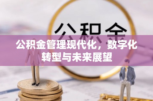 蚌山公积金管理现代化，数字化转型与未来展望