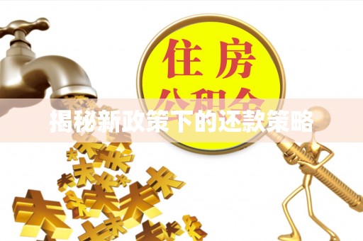 蚌山揭秘新政策下的还款策略